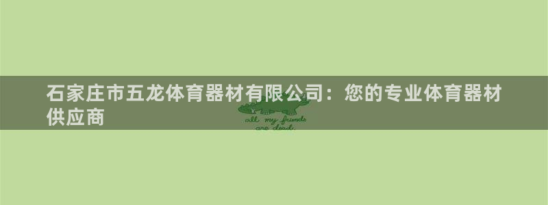 尊龙凯时请求参数不符合：石家庄市五龙体育器材有限公司