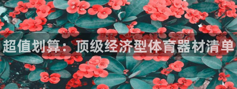 尊龙官网手机版下载