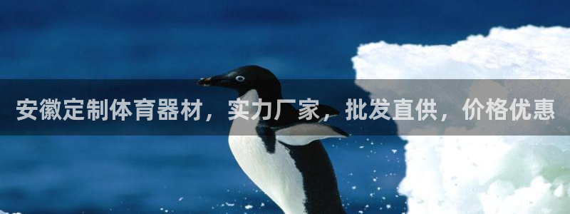 尊龙凯时人生就是搏技术实力：安徽定制体育器材，实力厂