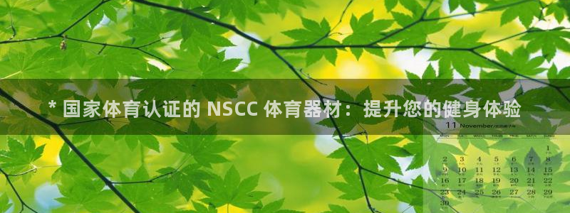 凯时平台怎么样：* 国家体育认证的 NSCC 体育器