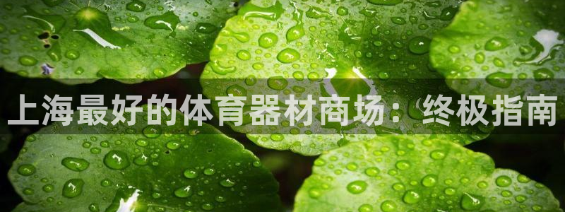 尊龙AG旗舰厅app下载：上海最好的体育器材商场：终