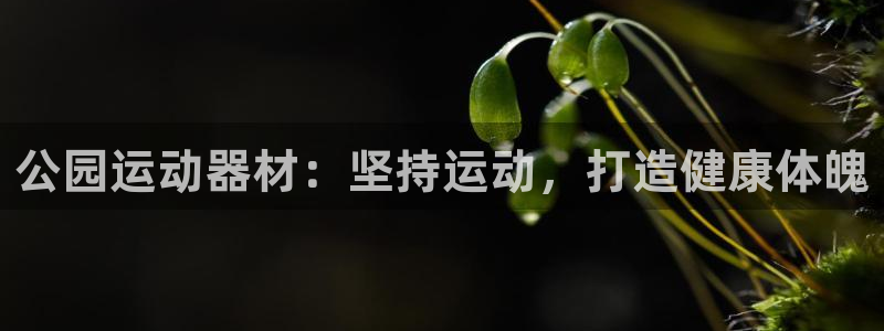 尊龙d88皆选ag发财网：公园运动器材：坚持运动，打