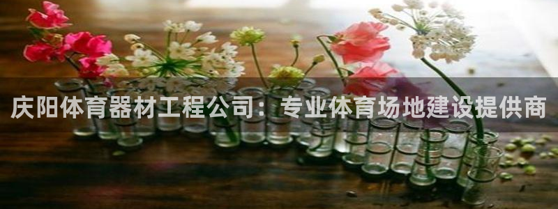 尊龙凯时可以提现吗：庆阳体育器材工程公司：专业体育场